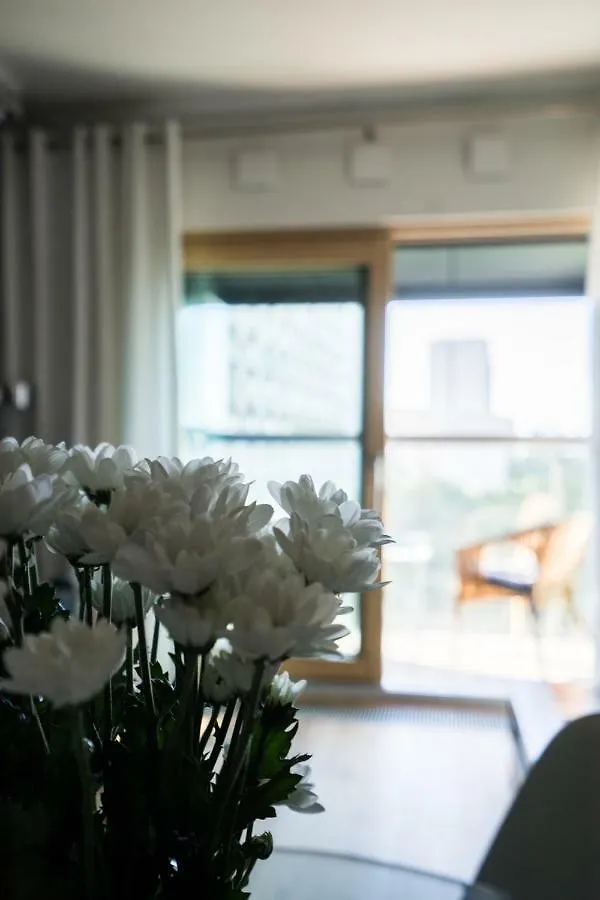 Vipwarsawapartments Amber Mennica Residence 0*, Warszawa